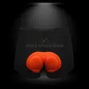 Bicycle Black Padded Short Pants Cycling Bike Shorts