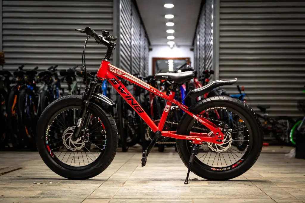 Swing MTB Fatbike size 20 Red