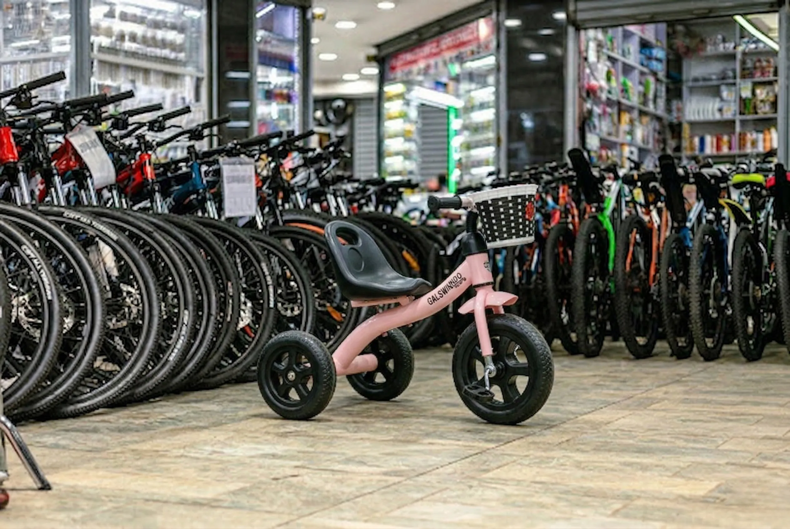 Swing Kids Tricycle 2-5 Years GT 