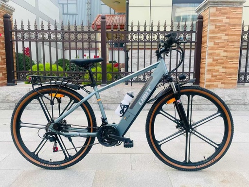 [CP19824W] Limit Horse Electric Bikes