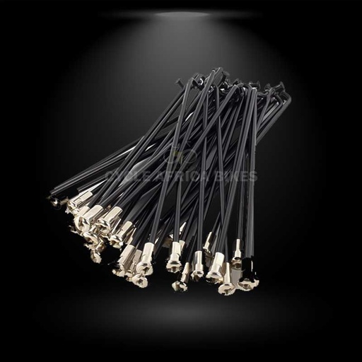 [CP1149] BICYCLE SIZE 24 SPOKES