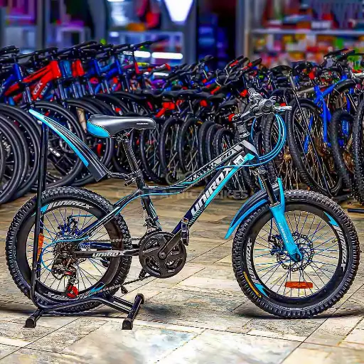 [BK1630BLUE] Unirox bike size 20 Blue